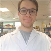 Trompeta, lenguaje musical e Iniciación a la música